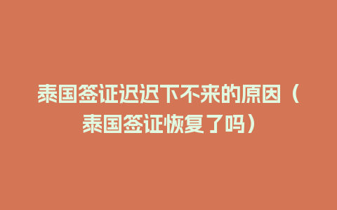 泰国签证迟迟下不来的原因（泰国签证恢复了吗）