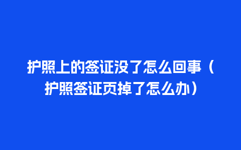 护照上的签证没了怎么回事（护照签证页掉了怎么办）