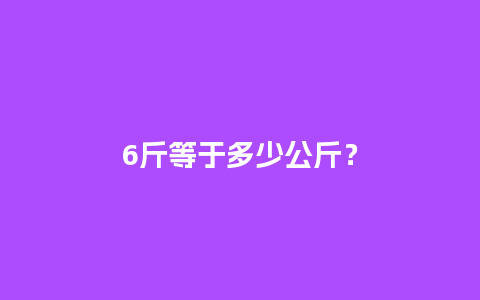 6斤等于多少公斤？