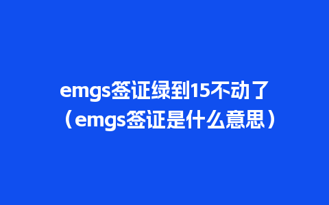 emgs签证绿到15不动了（emgs签证是什么意思）