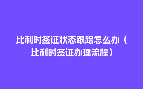 比利时签证状态跟踪怎么办（比利时签证办理流程）