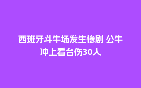 西班牙斗牛场发生惨剧 公牛冲上看台伤30人