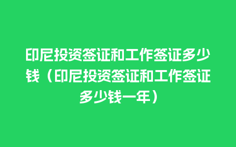 印尼投资签证和工作签证多少钱（印尼投资签证和工作签证多少钱一年）