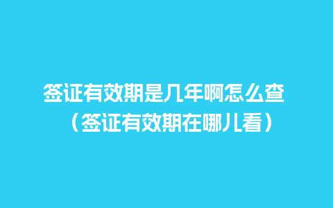 签证有效期是几年啊怎么查 （签证有效期在哪儿看）