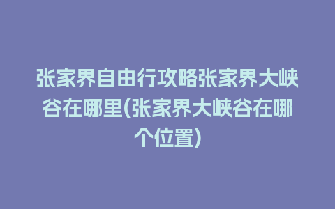 张家界自由行攻略张家界大峡谷在哪里(张家界大峡谷在哪个位置)