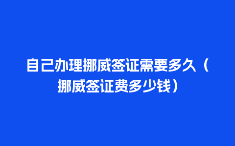 自己办理挪威签证需要多久（挪威签证费多少钱）