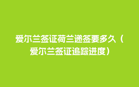 爱尔兰签证荷兰递签要多久（爱尔兰签证追踪进度）