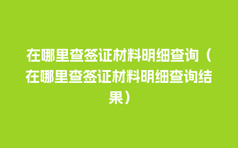 在哪里查签证材料明细查询（在哪里查签证材料明细查询结果）