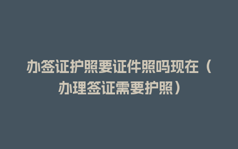 办签证护照要证件照吗现在（办理签证需要护照）