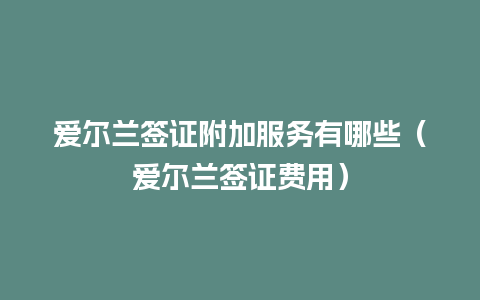 爱尔兰签证附加服务有哪些（爱尔兰签证费用）