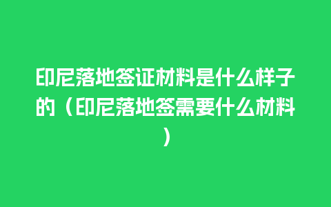 印尼落地签证材料是什么样子的（印尼落地签需要什么材料）