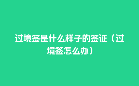 过境签是什么样子的签证（过境签怎么办）