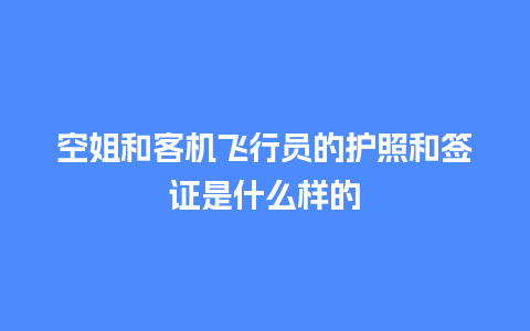 空姐和客机飞行员的护照和签证是什么样的