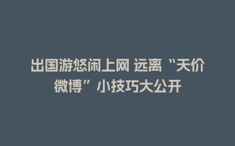 出国游悠闲上网 远离“天价微博”小技巧大公开