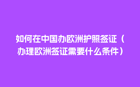 如何在中国办欧洲护照签证（办理欧洲签证需要什么条件）