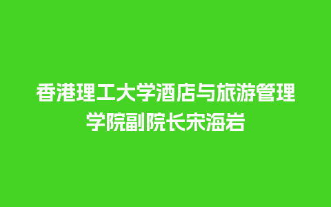 香港理工大学酒店与旅游管理学院副院长宋海岩