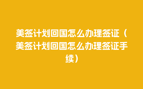 美签计划回国怎么办理签证（美签计划回国怎么办理签证手续）