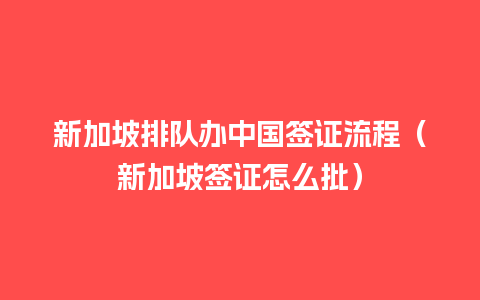 新加坡排队办中国签证流程（新加坡签证怎么批）