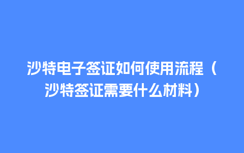 沙特电子签证如何使用流程（沙特签证需要什么材料）