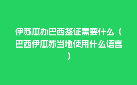 伊苏瓜办巴西签证需要什么（巴西伊瓜苏当地使用什么语言）