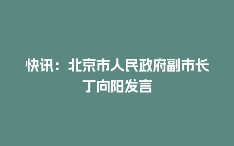 快讯：北京市人民政府副市长丁向阳发言