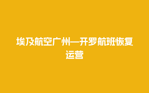 埃及航空广州—开罗航班恢复运营