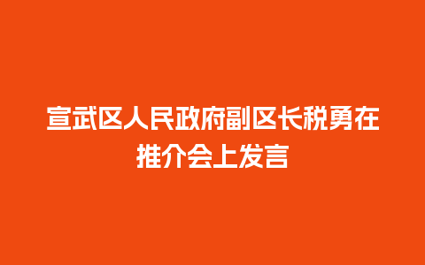 宣武区人民政府副区长税勇在推介会上发言