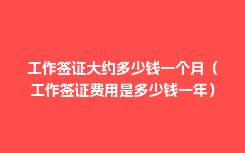 工作签证大约多少钱一个月（工作签证费用是多少钱一年）