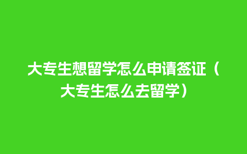 大专生想留学怎么申请签证（大专生怎么去留学）