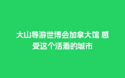 大山导游世博会加拿大馆 感受这个活着的城市