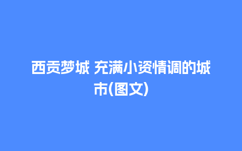 西贡梦城 充满小资情调的城市(图文)