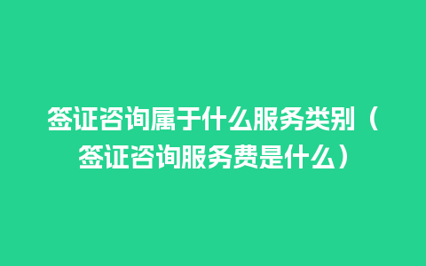 签证咨询属于什么服务类别（签证咨询服务费是什么）