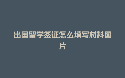 出国留学签证怎么填写材料图片