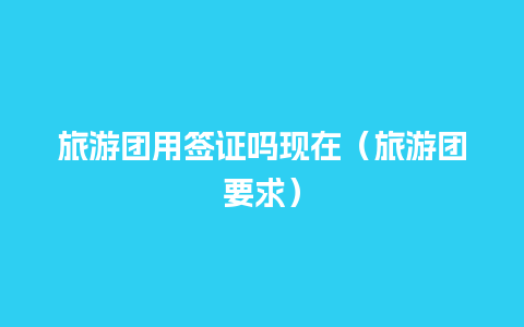 旅游团用签证吗现在（旅游团要求）