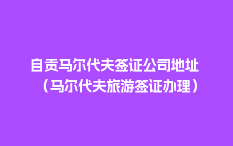 自贡马尔代夫签证公司地址 （马尔代夫旅游签证办理）