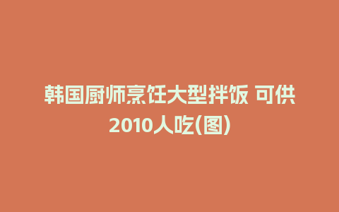 韩国厨师烹饪大型拌饭 可供2010人吃(图)