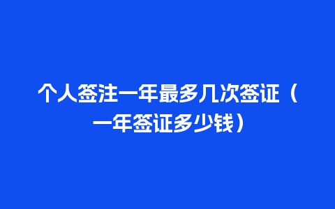 个人签注一年最多几次签证（一年签证多少钱）