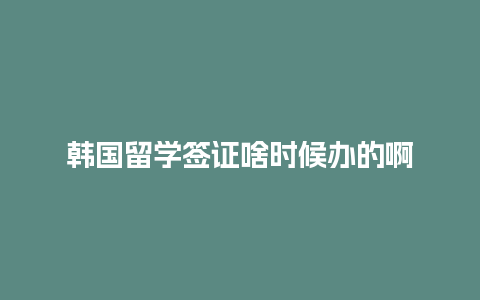 韩国留学签证啥时候办的啊