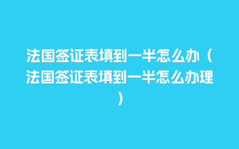 法国签证表填到一半怎么办（法国签证表填到一半怎么办理）