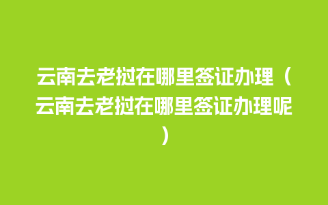 云南去老挝在哪里签证办理（云南去老挝在哪里签证办理呢）