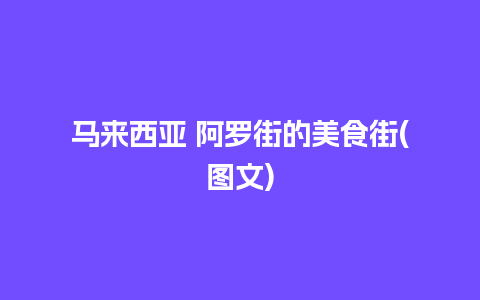 马来西亚 阿罗街的美食街(图文)