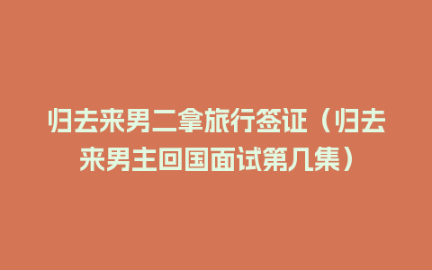 归去来男二拿旅行签证（归去来男主回国面试第几集）