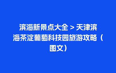 滨海新景点大全 > 天津滨海茶淀葡萄科技园旅游攻略（图文）