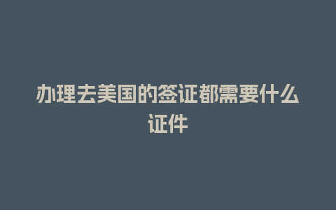 办理去美国的签证都需要什么证件