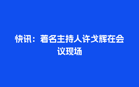 快讯：著名主持人许戈辉在会议现场