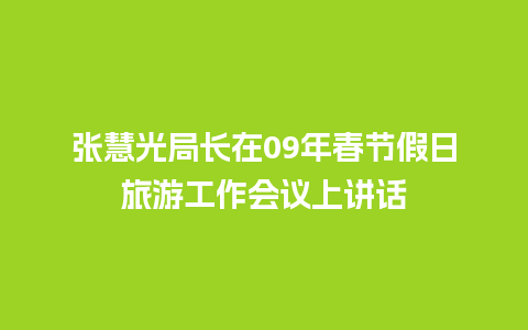 张慧光局长在09年春节假日旅游工作会议上讲话