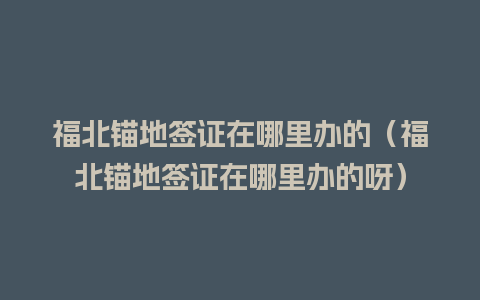 福北锚地签证在哪里办的（福北锚地签证在哪里办的呀）