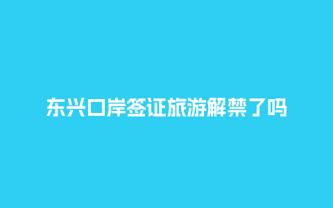 东兴口岸签证旅游解禁了吗