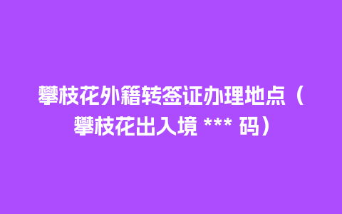 攀枝花外籍转签证办理地点（攀枝花出入境 *** 码）