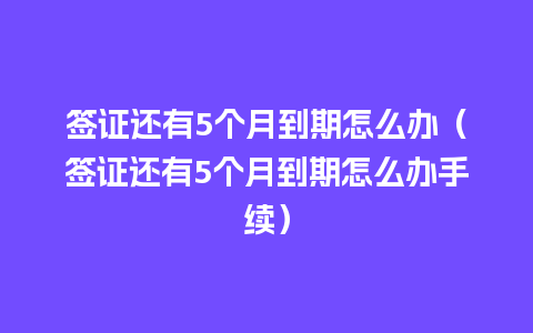 签证还有5个月到期怎么办（签证还有5个月到期怎么办手续）